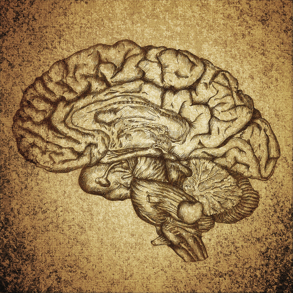The Psychology of Playlist Placement: What Curators Really Want